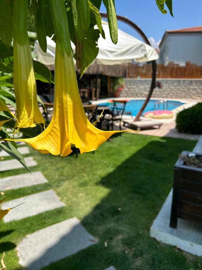 Pupa Alacati Butik Otel Çeşme 外观 照片