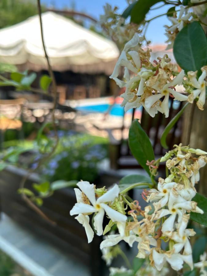 Pupa Alacati Butik Otel Çeşme 外观 照片